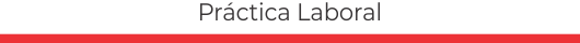 M Practica Laboral BTN - IDES