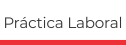 Práctica Laboral - Instituto IDES